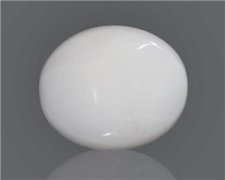 Natural White Coral 13.64 cts ( 49829 )